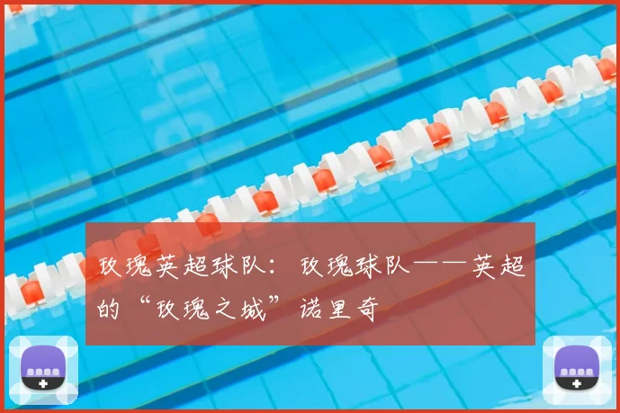 玫瑰英超球队:玫瑰球队——英超的“玫瑰之城”诺里奇