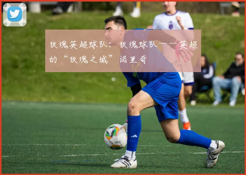 玫瑰英超球队:玫瑰球队——英超的“玫瑰之城”诺里奇